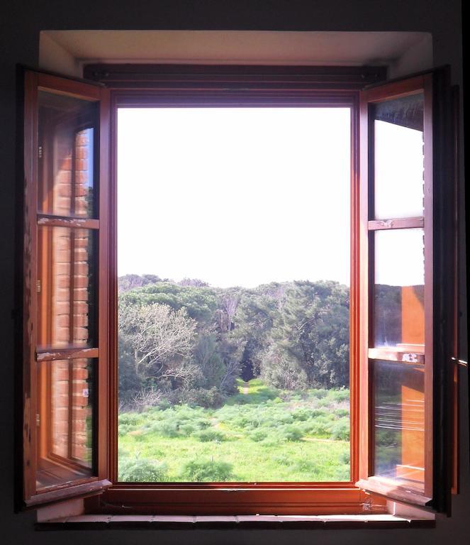 Locanda Oceano Mare Acomodação com café da manhã San Vincenzo Quarto foto